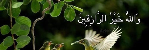 Haseeb Ahmed banner