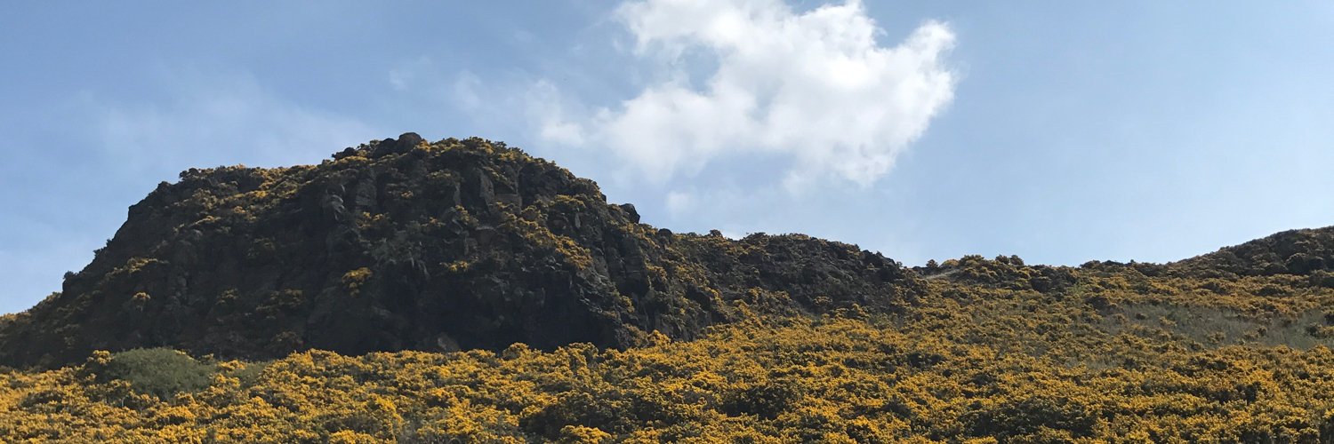 bedehoole's profile banner image