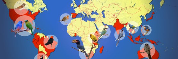 ArjanDwarshuis Profile Banner