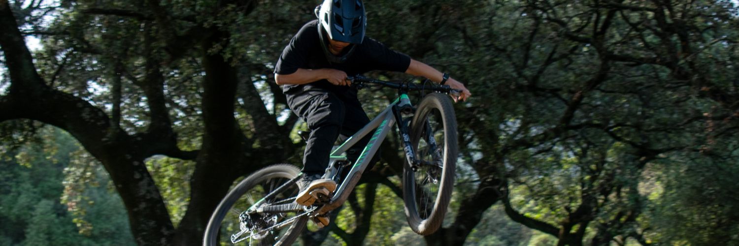 Felipe_Zek's profile banner image