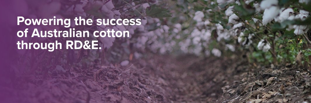 CottonResearch's profile banner image