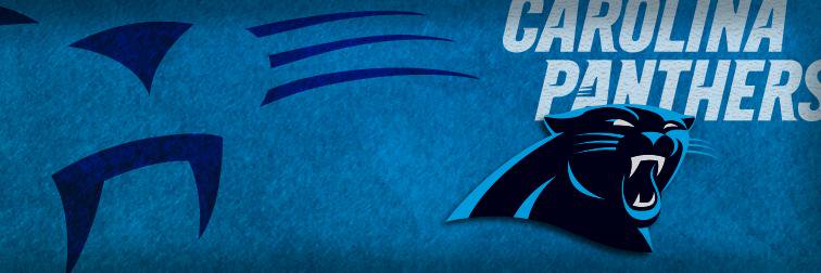 Shane Flanigan banner