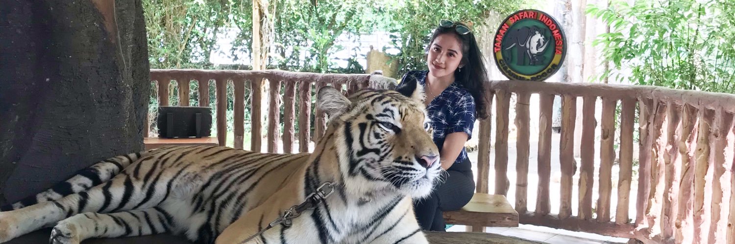 Aulia Dwitami banner