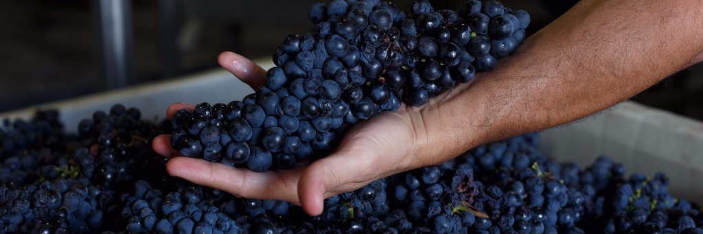 esseffwines's profile banner image