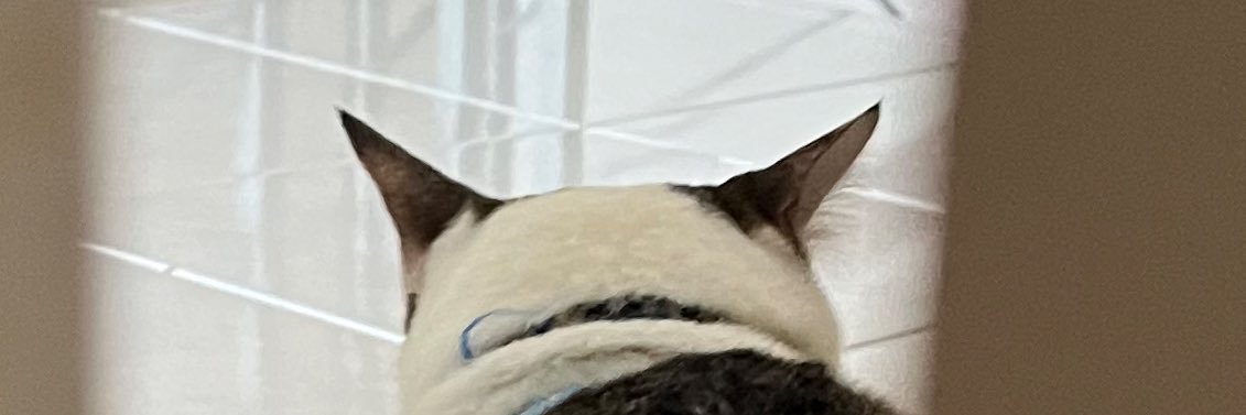ainaarff's profile banner image