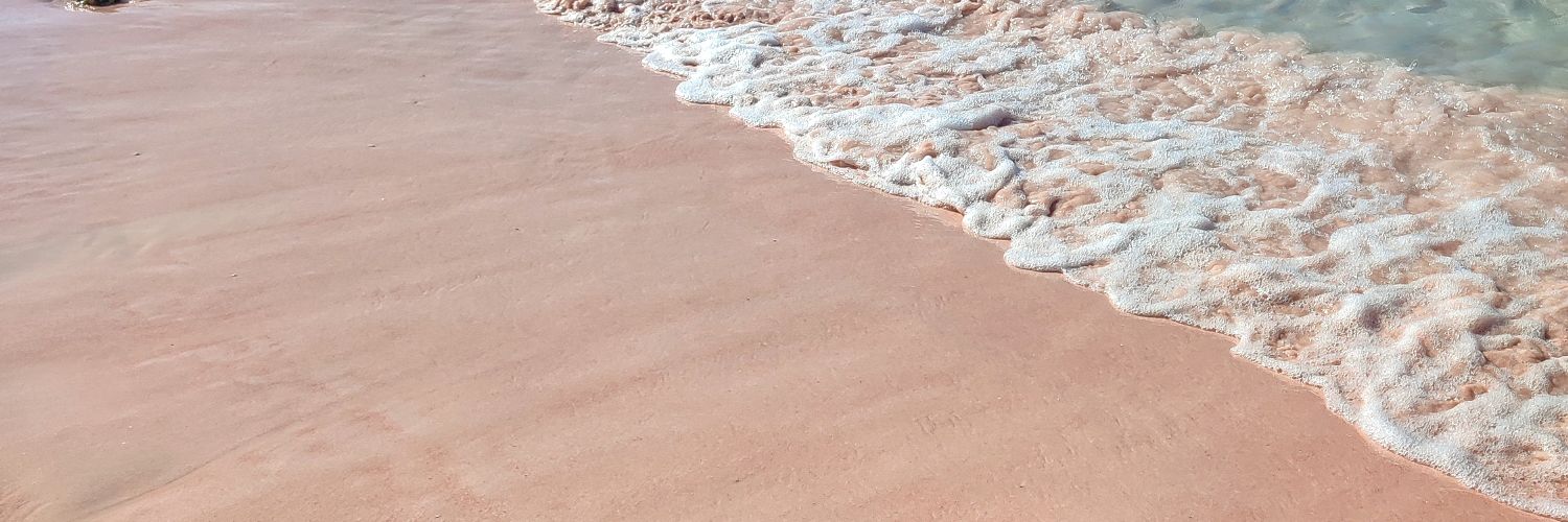 Kasatkusut_'s profile banner image