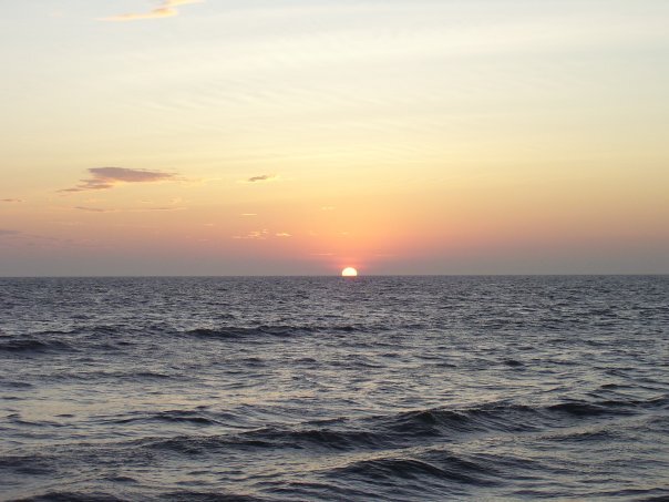 Zulma Beatriz banner