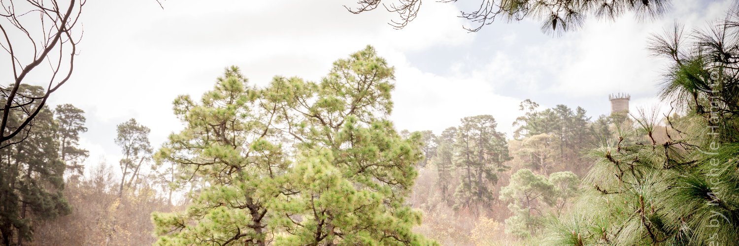 ShutterbytesMH's profile banner image