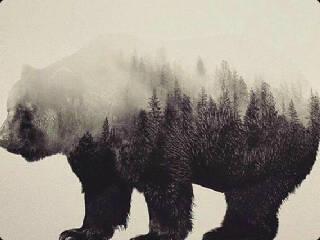 MING_ART08's profile banner image