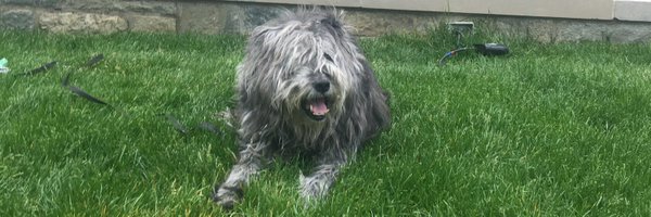 fracturedart Profile Banner