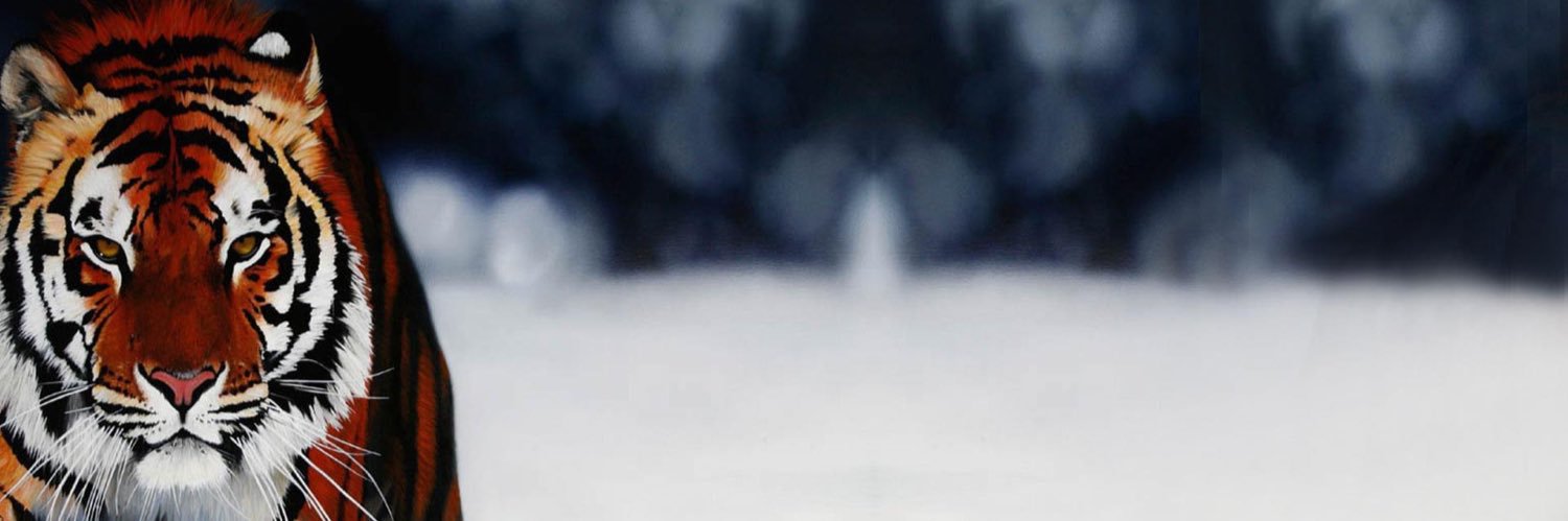 EroBulgan's profile banner image