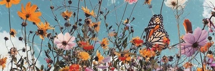notclarice's profile banner image