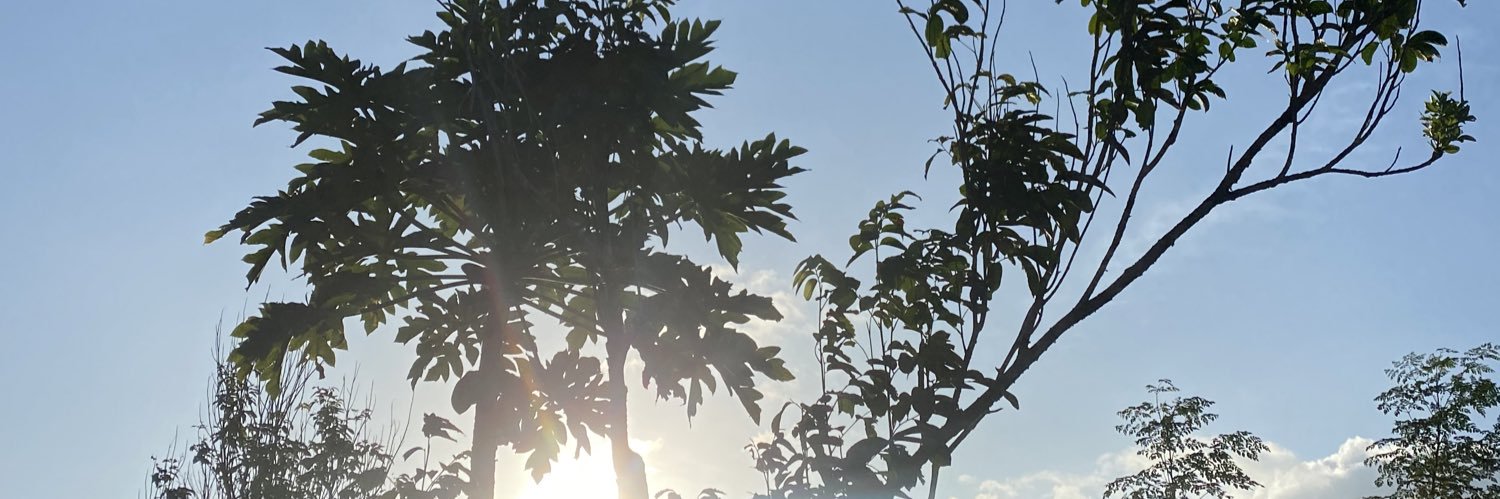 ivyjtd's profile banner image