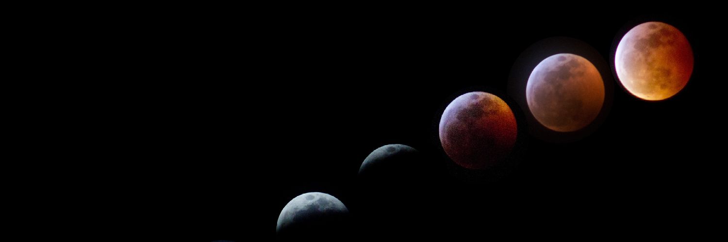 Tyler G. Woida banner