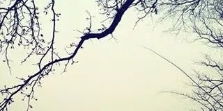 qtl_selast's profile banner image