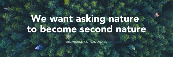 BiomimicryInst Profile Banner