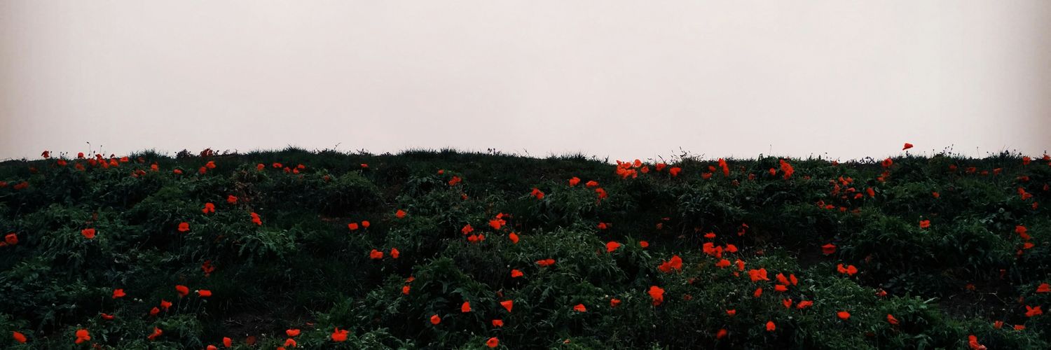 green__snail's profile banner image