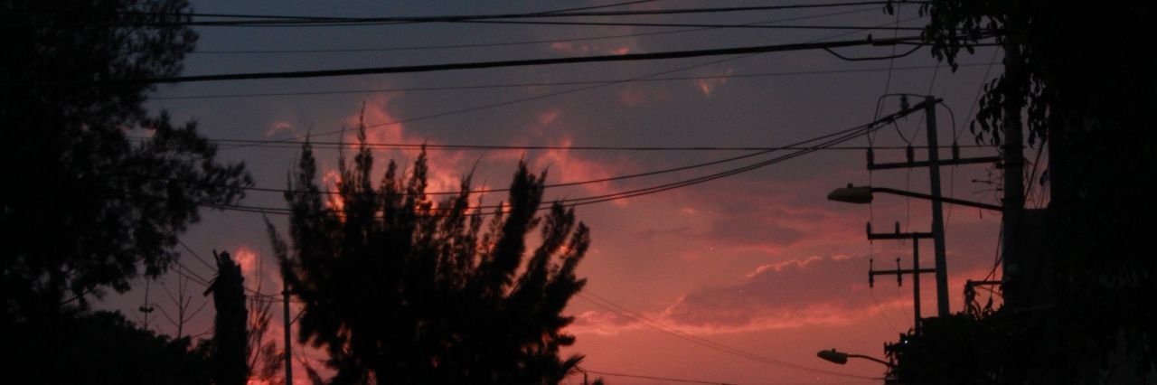 alison_aroca's profile banner image