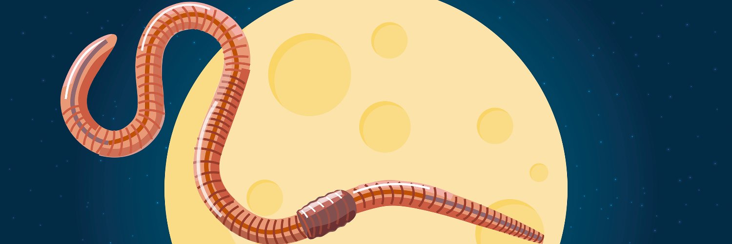 enkai survivor worm banner
