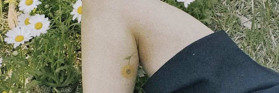 bovinelilly's profile banner image