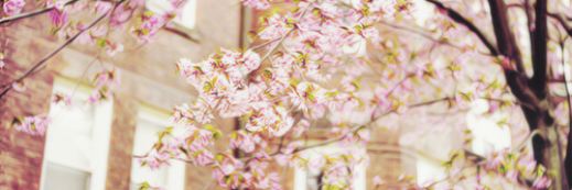 Ana_G07's profile banner image