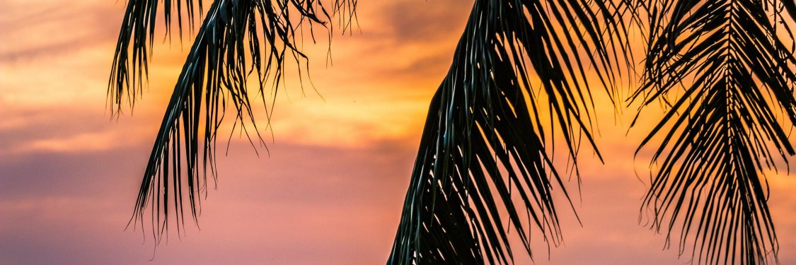 Tower Beach Club banner