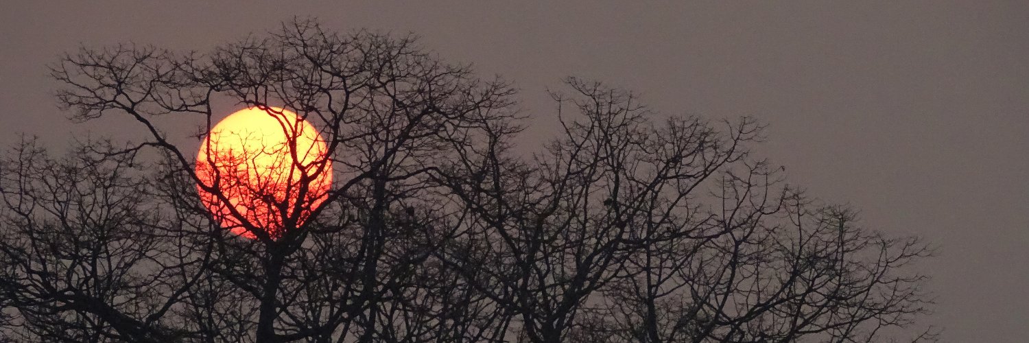 PamsRulezz's profile banner image