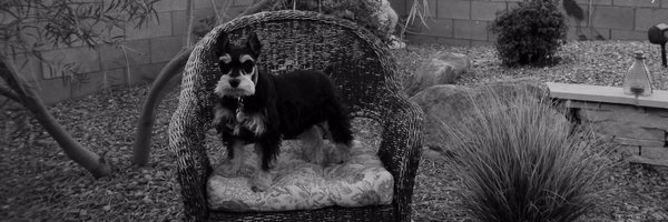 Greg_Pul Profile Banner