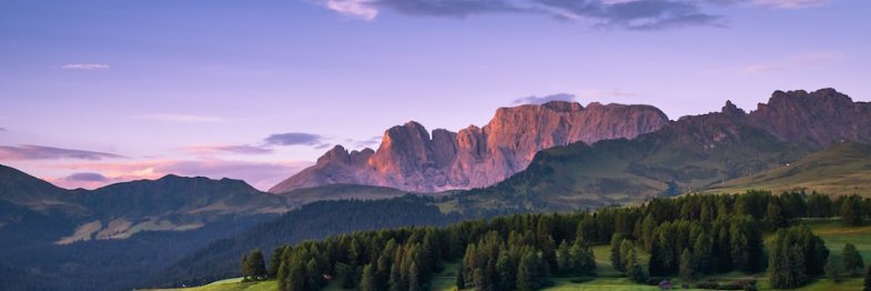 staker(💙,🧡) banner