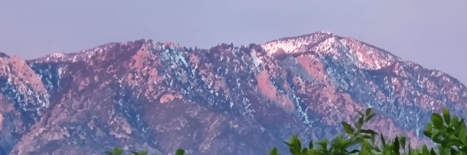 oldpalmsprings's profile banner image