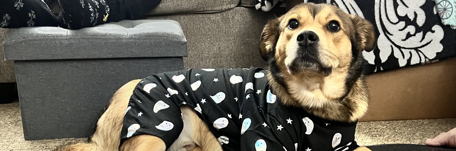 katie cattrell banner