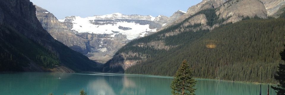 Mona Hacker MD banner