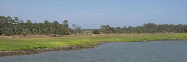GullahGeechee Profile Banner