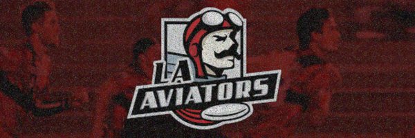 laaviators Profile Banner