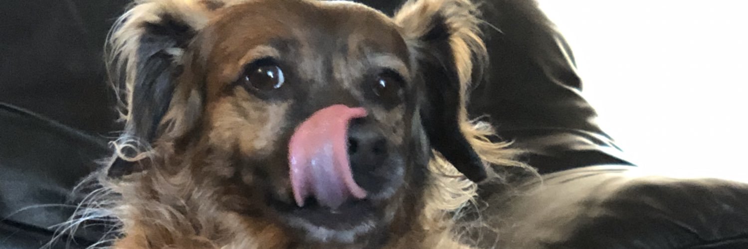 tomdinla's profile banner image