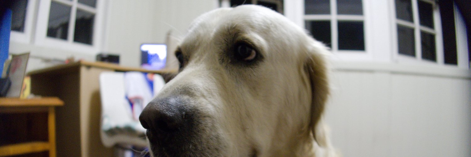 foxyeguiluz's profile banner image