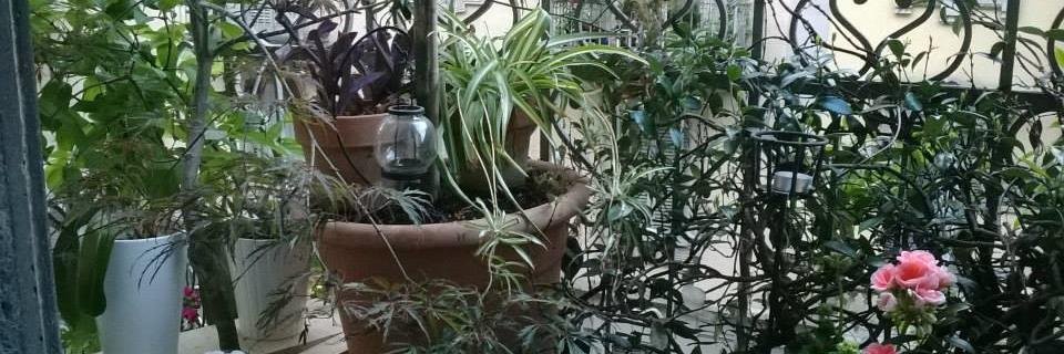 ferrari_vale's profile banner image