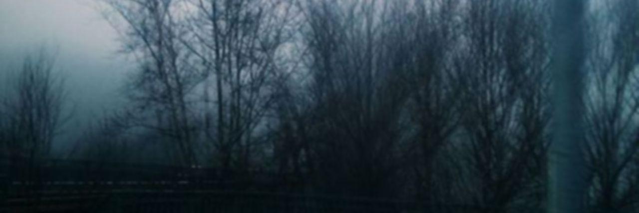 steverogvrs's profile banner image
