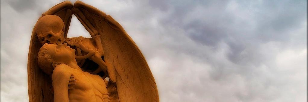 stephalumpagus's profile banner image