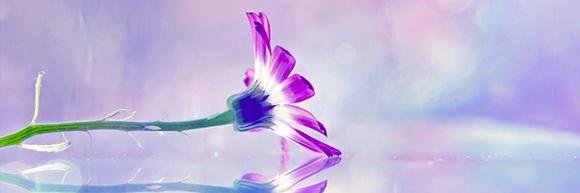 KemDau208's profile banner image