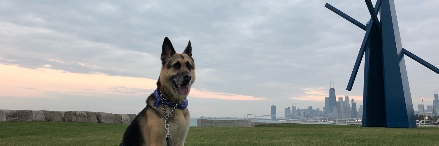 Megan8B's profile banner image