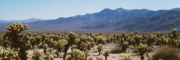 PLTSmusic Profile Banner