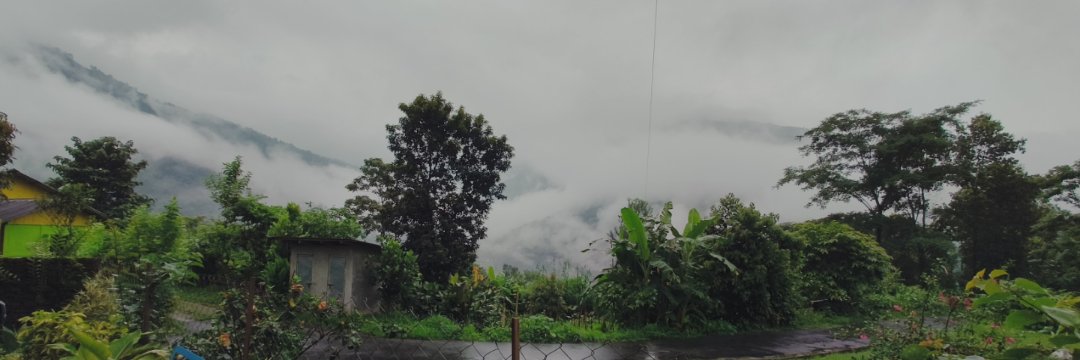 avadhsinghal's profile banner image