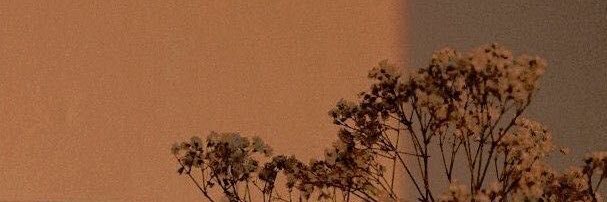 tarneeargh's profile banner image