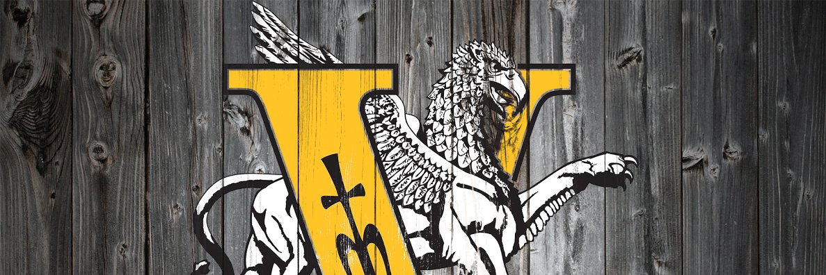 VianneyNewsNet's profile banner image
