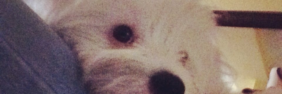 fbueno13's profile banner image