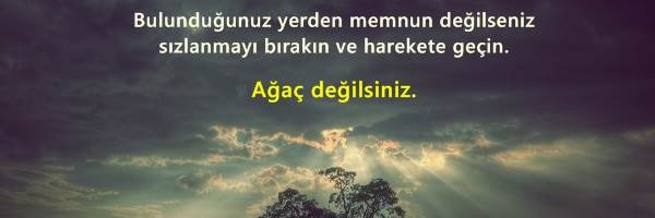 deva_sensin's profile banner image