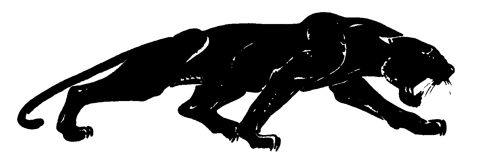PanoramaFFA's profile banner image
