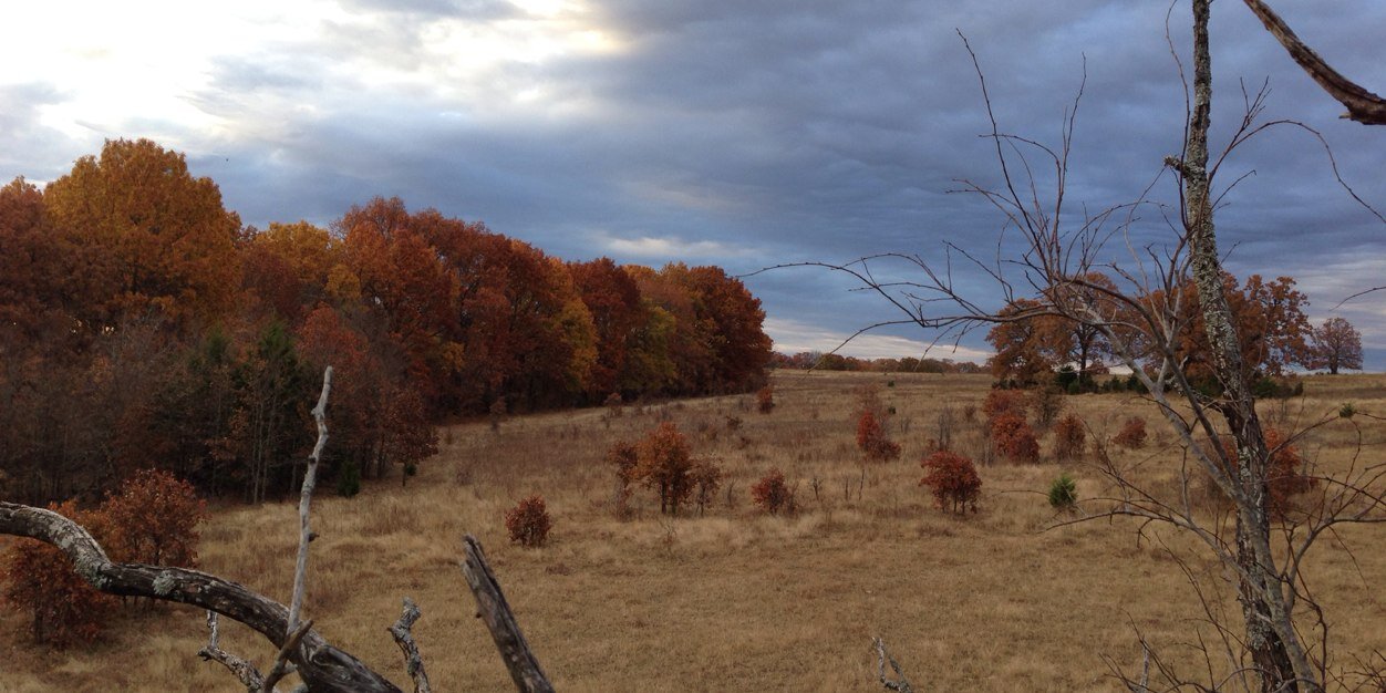 TexasBowHunting's profile banner image