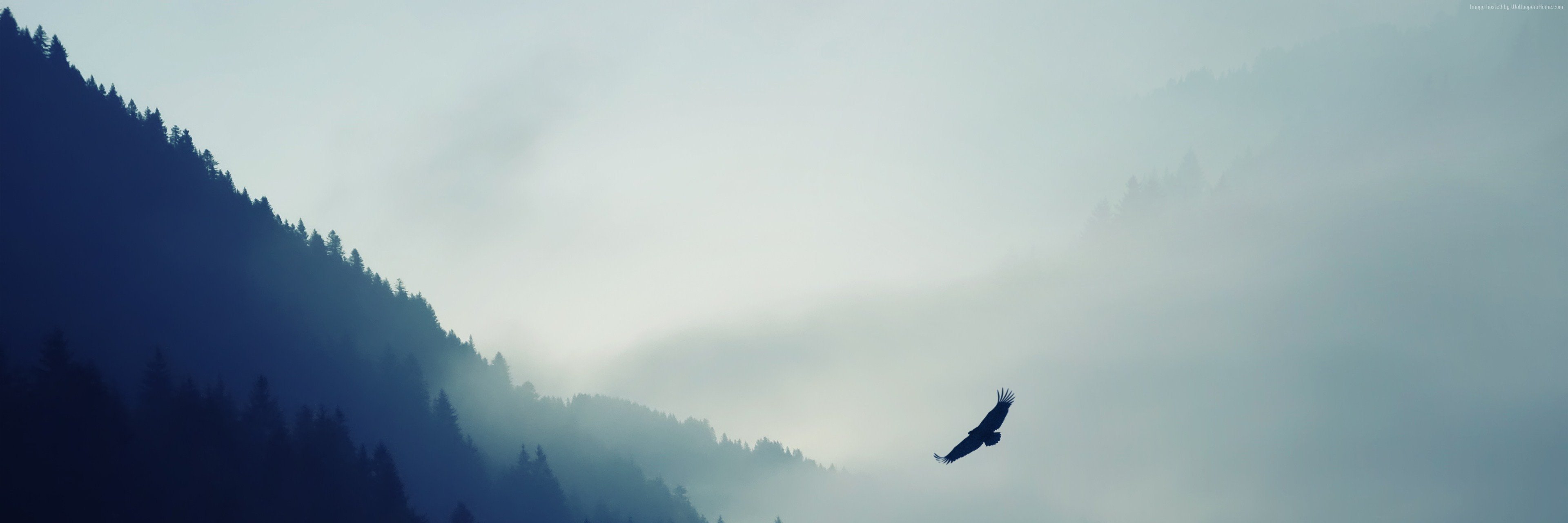So_Squeez's profile banner image